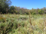 2020-12-08_10-10-19_P9290023_P2_C4.JPG