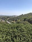 2018-09-05_14-03-14_B48A30DA-45DD-4F49-963C-A0E6847D914A.jpg