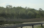 2022-06-11_17-48-45_C211E697-4B94-4773-8C48-6C01539E2C68_1_201_a.jpeg