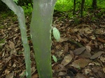 18250P1000086.JPG