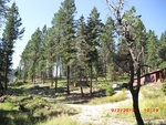 2012-09-15_23-07-42_NM-OT-35-6.jpg