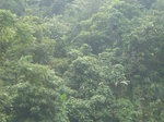 2012-09-08_19-26-40_RIMG0109.JPG