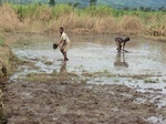 2012-09-07_10-20-02_CIMG6722.JPG