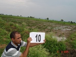 6054010b-irrigated-canal-nagarjunsagar-cotton-chilles-rice.jpg