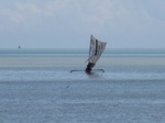 14215IMG_4555.JPG