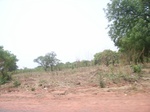 4005RIMG0309.JPG