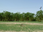 19158P1010004.JPG