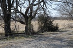 10156Field Survey 1 040.JPG