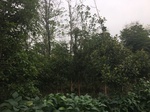 2017-09-11_22-22-31_A90E4123-DC08-4176-8795-518FFB907352.jpg