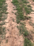 2020-08-19_12-43-21_2020-8-19-12-43-0.jpg