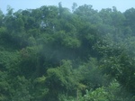 2012-09-08_18-23-59_RIMG0072.JPG