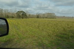 2021-02-02_12-13-35_DSC_0059.JPG