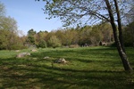 170IMG_4066.JPG