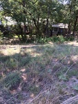 2017-09-04_13-42-35_Sept_2017_south_lat30.017506_long-98.048516.JPG