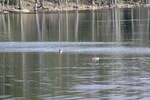 395IMG_3504.JPG
