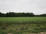2012-09-16_21-26-56_MI-VB-4-East.JPG