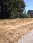 2012-09-14_22-55-46_WA-KG-106-4.JPG