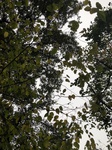 2020-10-19_09-03-16_IMG_E4852.JPG