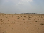 36766CIMG0535.JPG
