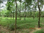 2012-09-26_20-48-22_CIMG1008.JPG