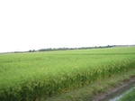 15683IMG_4759.JPG