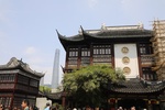 2025-07-15_15-50-49_D4640873-A5F6-49F1-B3A0-04C2D3193E97.jpeg
