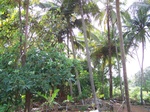 1715719042008(72).JPG