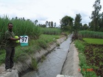 6426097c-irrigated-canal-sugarcane-dominant-rice.jpg