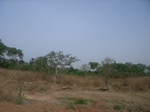 3804RIMG0108.JPG