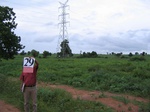 826529-cropland-rainfed-abandoned-1yr-fallowb.jpg