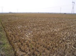 3185R0017219.JPG