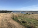 2018-09-05_12-23-15_8AD40CF6-820D-4557-8EA8-58AC2595C2E7.jpg