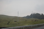 2018-07-06_16-09-38_2018-06-08 22.39.46.jpg
