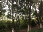 2017-09-10_20-49-03_A06C0A2E-E7ED-46E4-A521-E18EC5FAC707.jpg