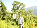 6614gt086-forest-1.jpg