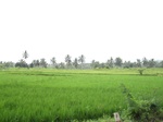14737IMG_5126.JPG