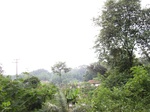 15310IMG_4148.JPG