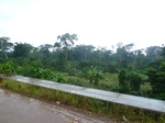 20550P1020407.JPG