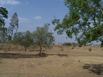 1769922042008(78).JPG