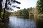 237IMG_4133.JPG