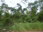 3722RIMG0025.JPG