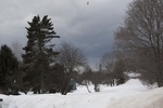 2017-03-02_10-36-57_Feb17-164-ME.jpg