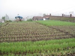 13575IMG_3827.JPG