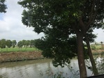 2017-09-12_12-54-24_63247592-30C9-4B84-8311-FAAB54EED23B.jpg