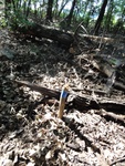 2012-09-24_10-40-04_DSC03152.JPG