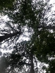2020-08-26_14-09-27_2020-8-26-14-9-8.jpg
