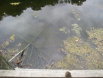2012-09-26_17-52-26_MI-WY-33-5.jpg