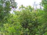 501620042008(39).JPG