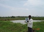 6179029c-irrigated-groundwater-sugarcane-rice-plantation-coconut-banana-double-crop.jpg