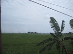 15585IMG_4655.JPG